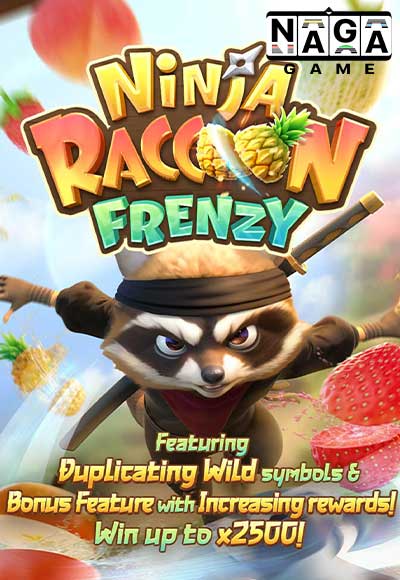 NINJA-RACCOON-FRENZY